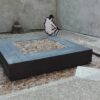هنر در ونیز